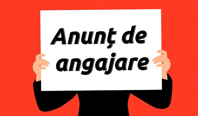 Oficiul Avocatului Poporului anunță concurs pentru ocuparea funcției publice de execuție: Consultant principal (C 10) în cadrul Direcției gestionarea și investigarea cererilor (funcția vacantă)