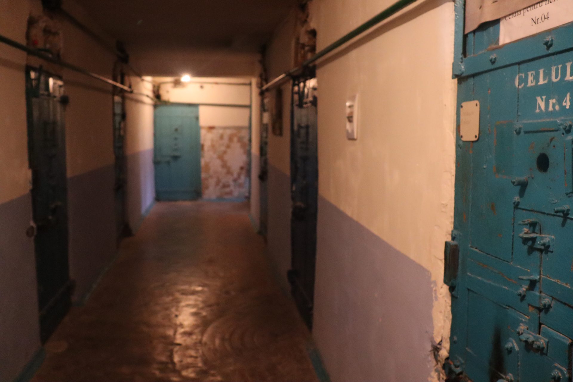 VIZITĂ PREVENTIVĂ LA PENITENCIARUL NR.15 CRICOVA